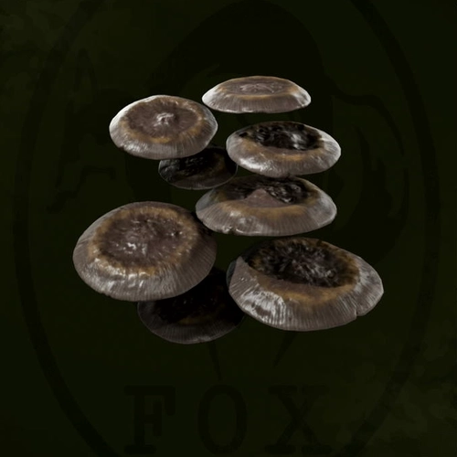 メタルギアデルタ_ウラルツキヨタケ_アイコン